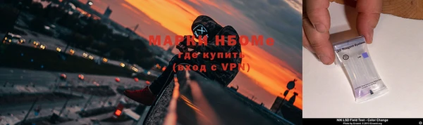 тгк Абаза