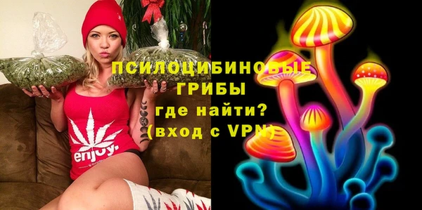 тгк Абаза