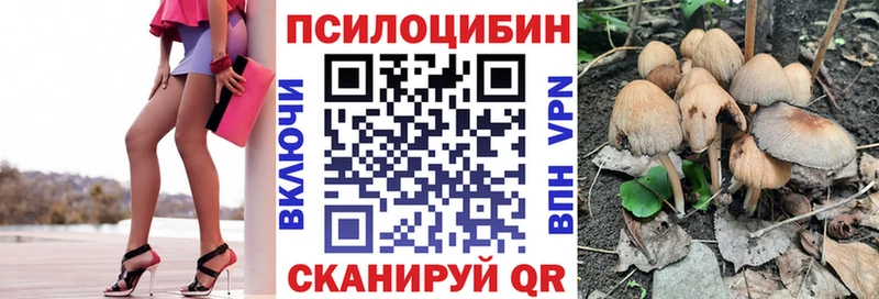 магазин продажи наркотиков  Арсеньев  hydra зеркало  Псилоцибиновые грибы Cubensis 